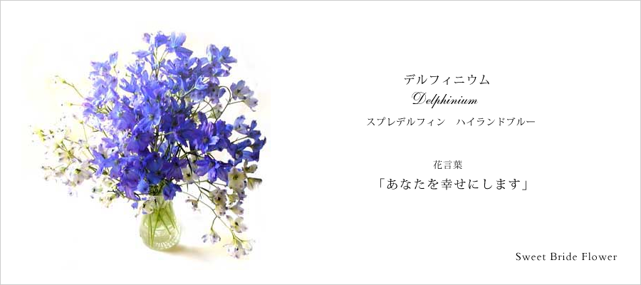 スウィートブライドのコーポレートフラワー「デルフィニウム」花言葉は「あなたを幸せにします」
